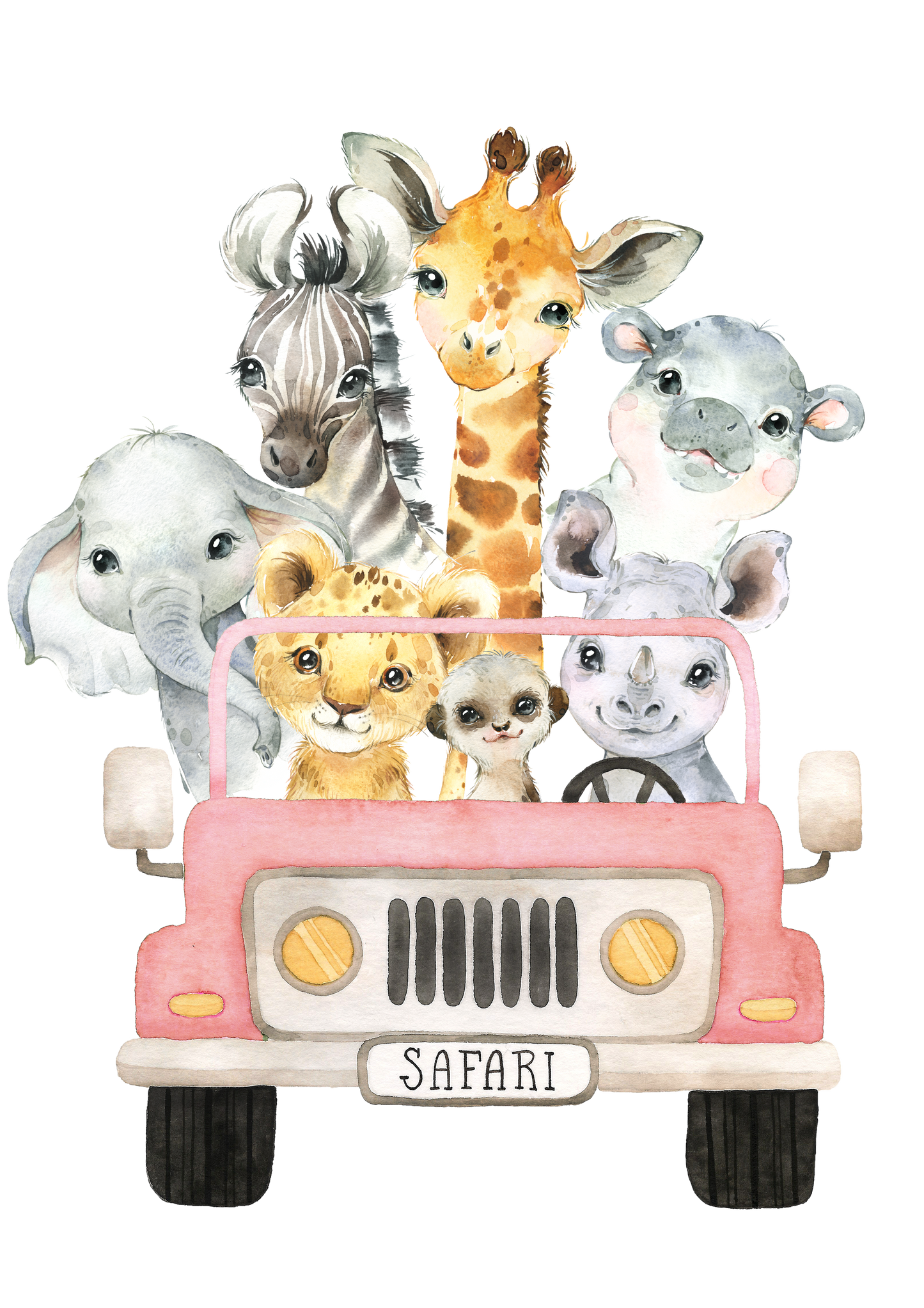 Baby Safari bundel